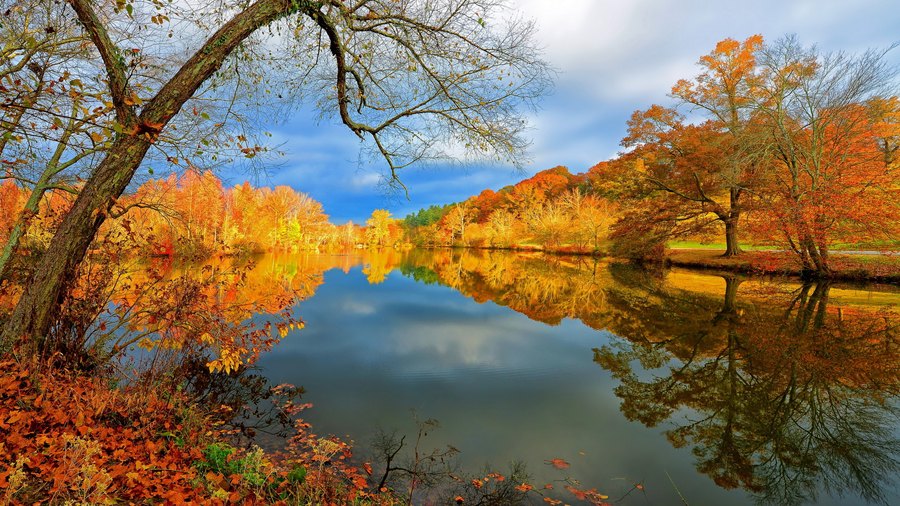 Ultra HD Landscape Wallpaper 419 document preview
